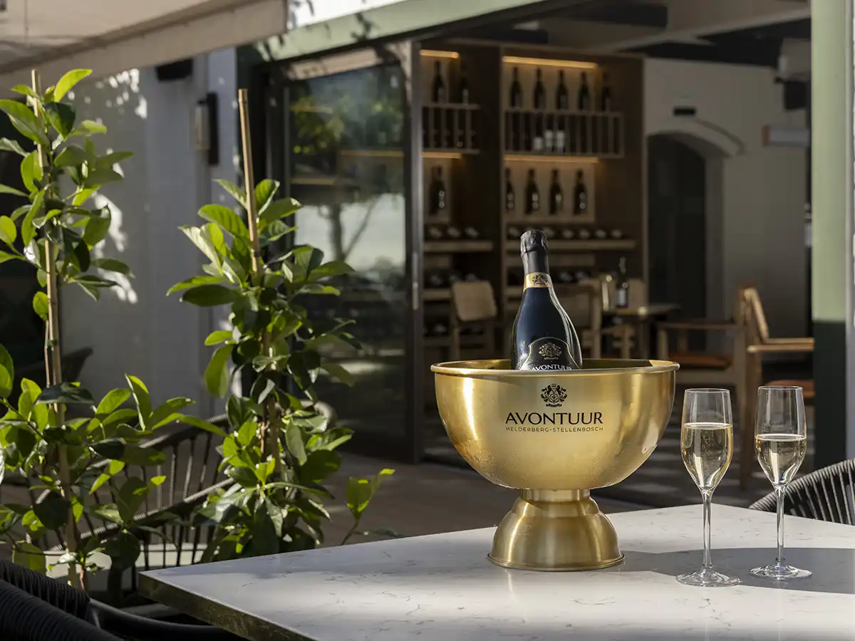 Stellenbosch Wine Route Gets a Fresh Spot